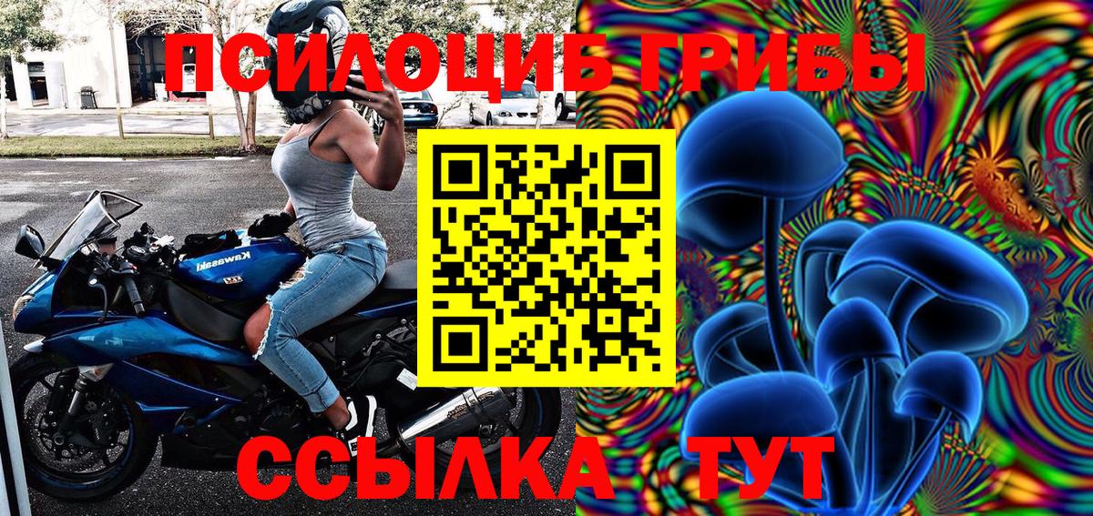 Псилоцибиновые грибы Psilocybine cubensis  Псилоцибиновые грибы GOLDEN TEACHER  Знаменск  Вход с VPN 