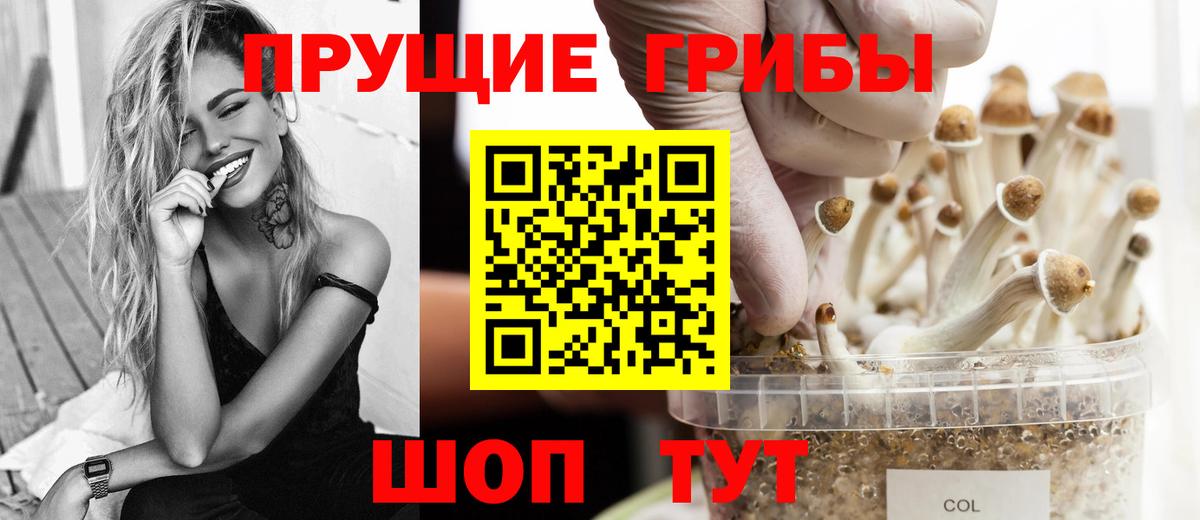 Галлюциногенные грибы Psilocybine cubensis Знаменск